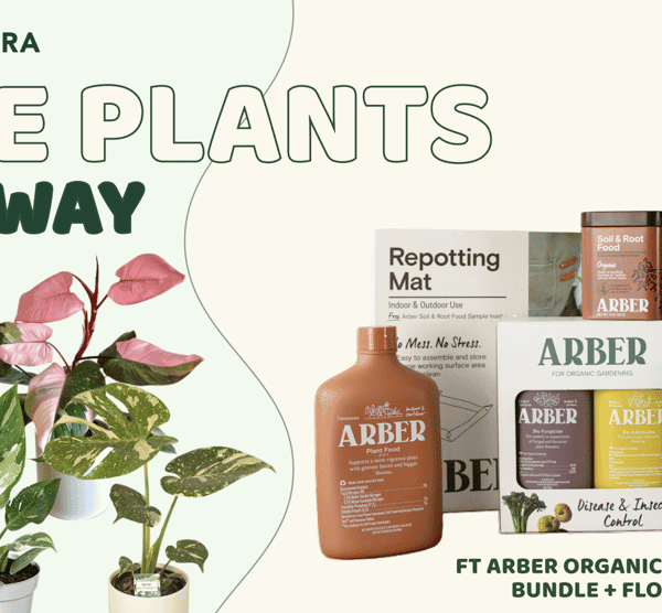 WIN A Rare Plant Bundle