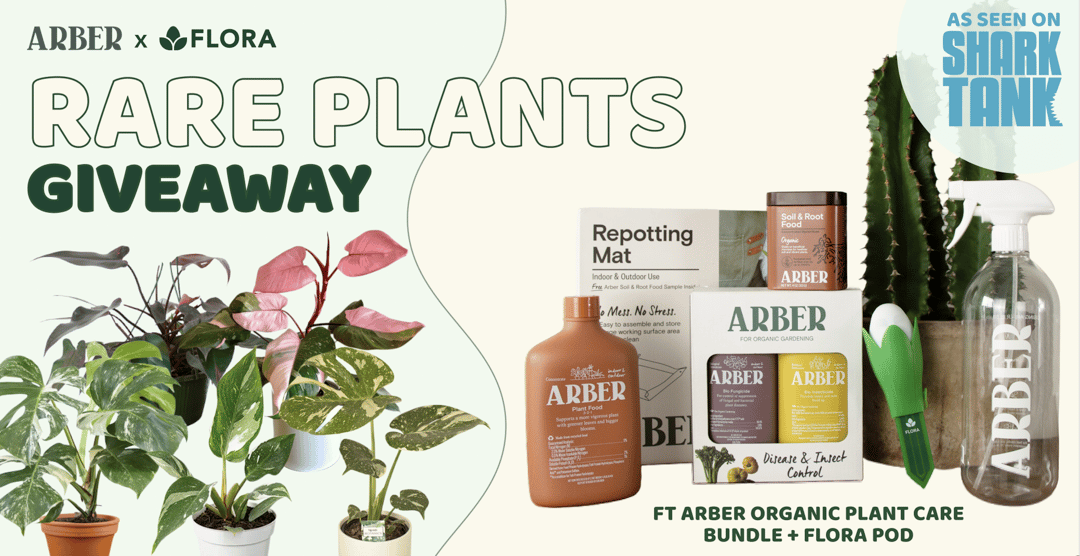 WIN A Rare Plant Bundle