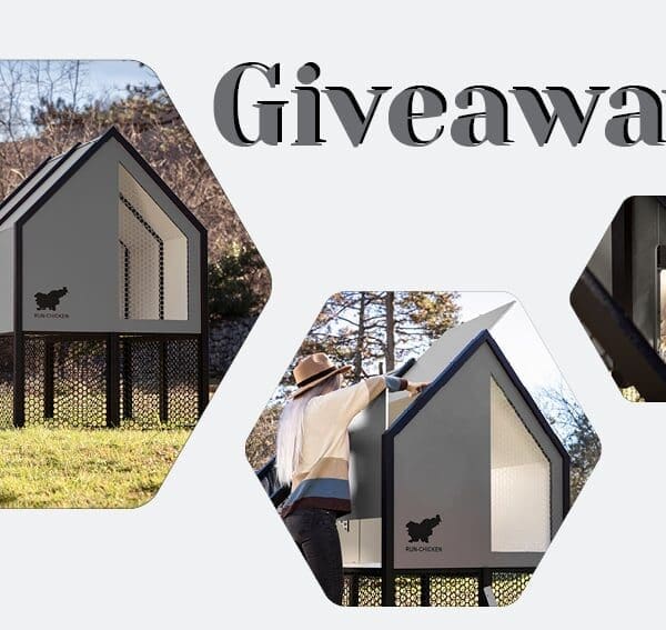 WIN A Run-Chicken Villa