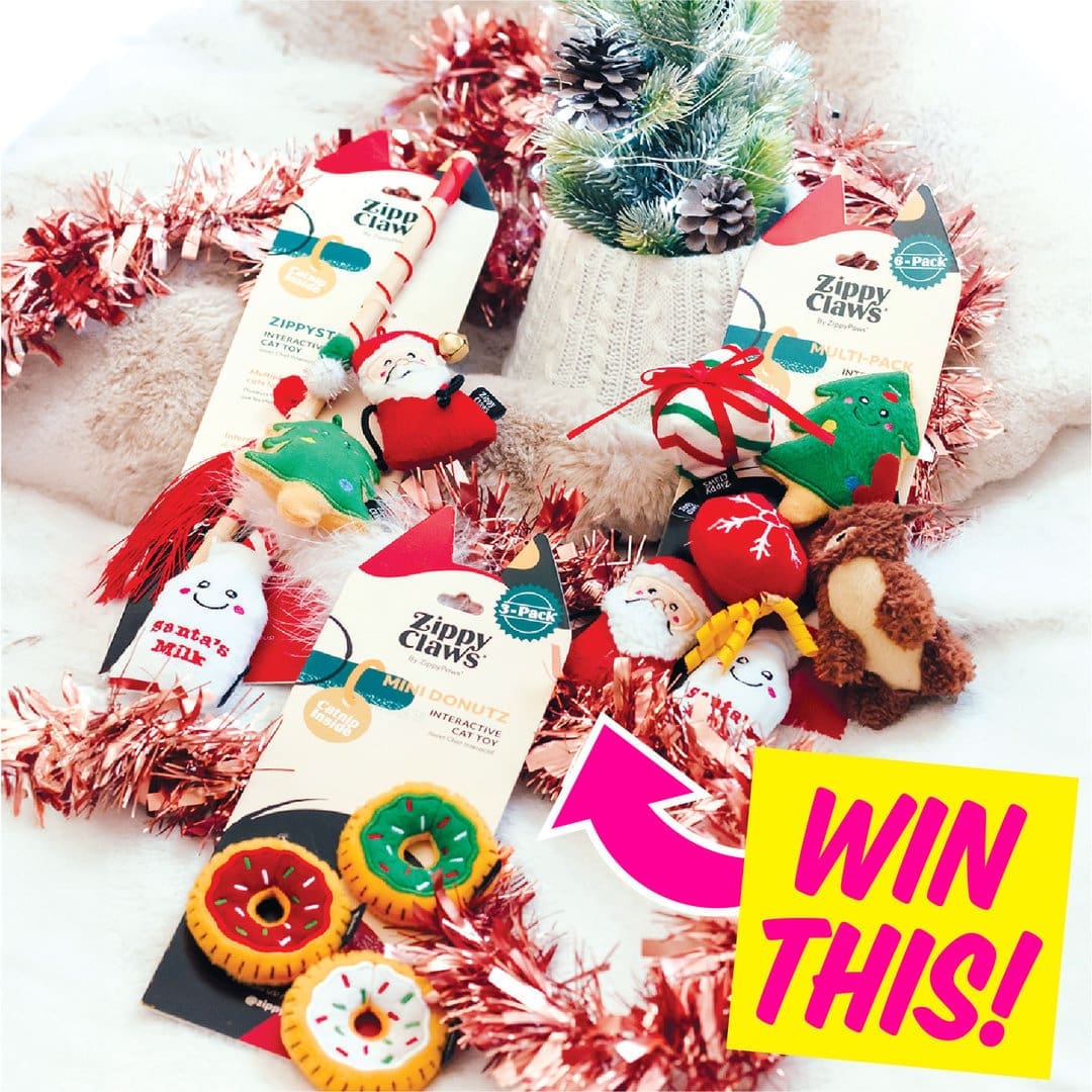 WIN A Cat Toy Prize Pack